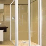 Framed Pivot Shower Door with Return Panel